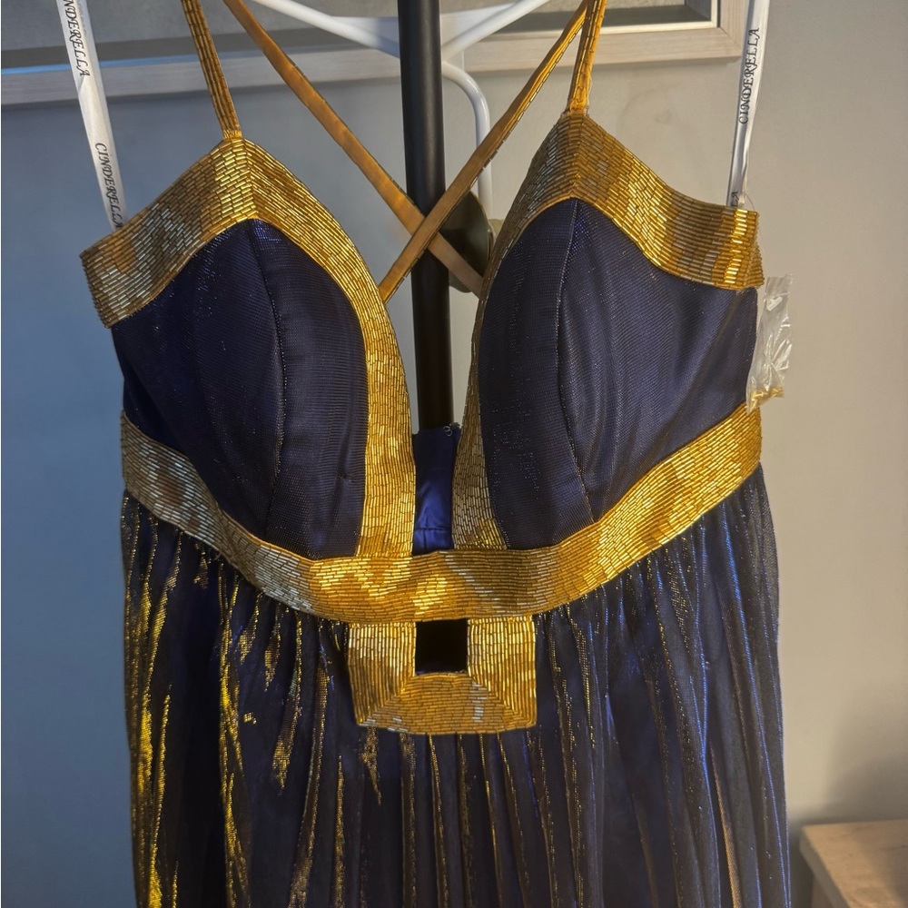 Elegant Backless Navy and Gold Dress